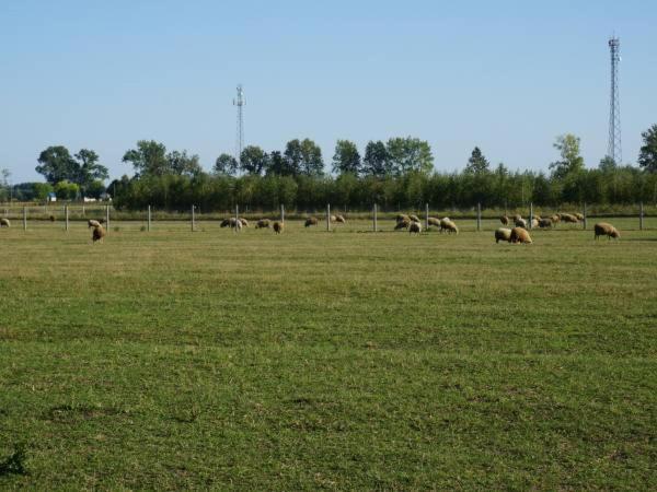 Domek Na Wsi-Agroturystyka Czyze Exterior foto
